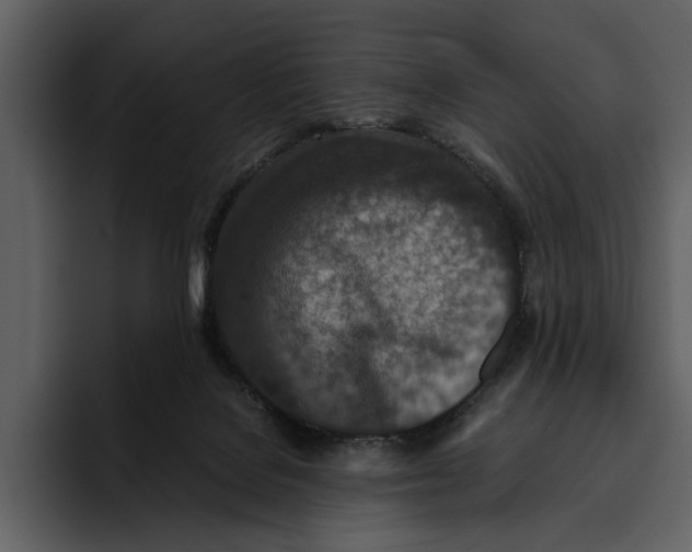 X0000095690076200801291225