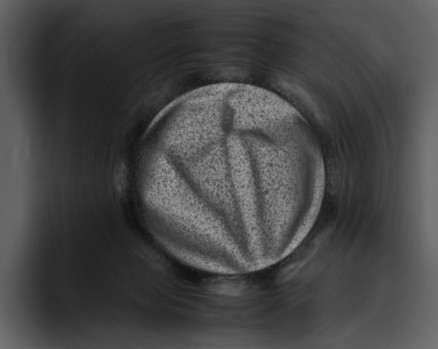 X0000095690077200801291225