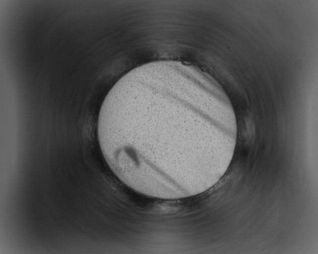 X0000095690078200801291225