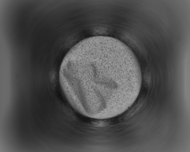 X0000095690079200801291225