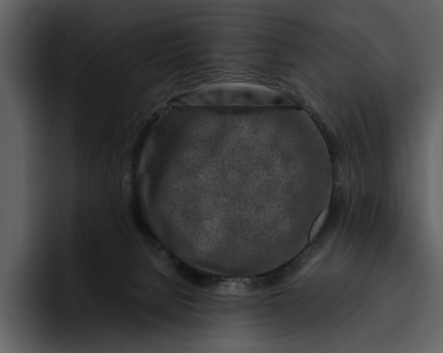 X0000095690080200801291225