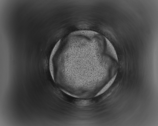 X0000095690081200801291225