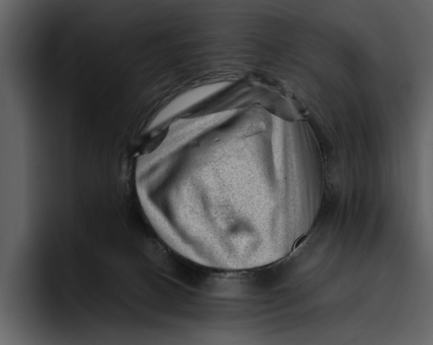 X0000095690082200801291225