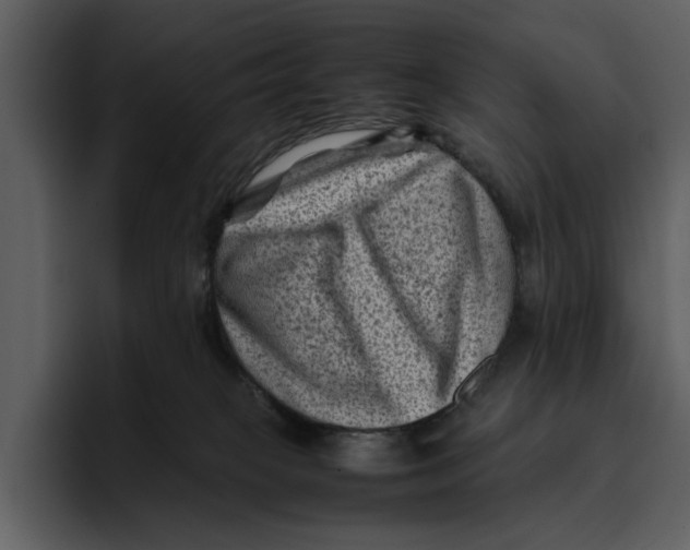 X0000095690085200801291225