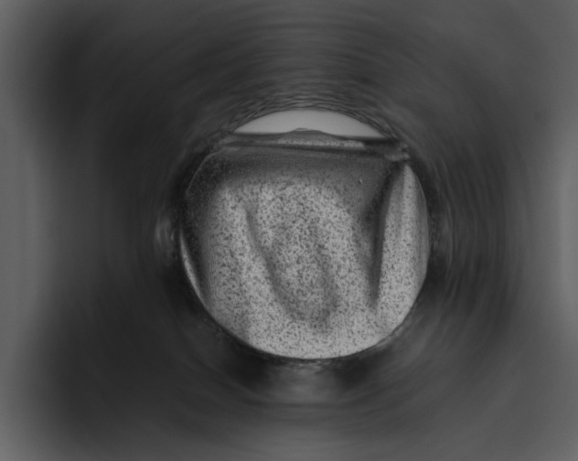 X0000095690086200801291226