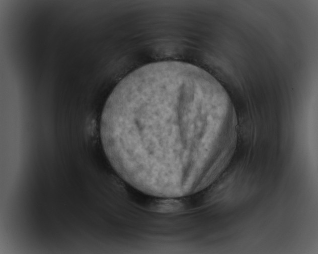 X0000095690087200801291226