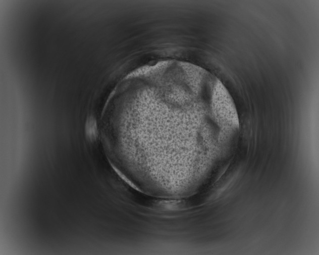 X0000095690089200801291226