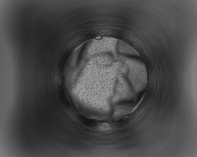 X0000095690091200801291226