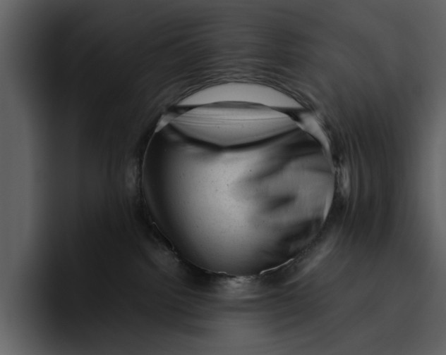 X0000095690092200801291226