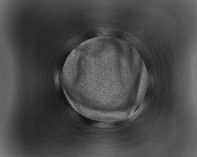 X0000095690094200801291226