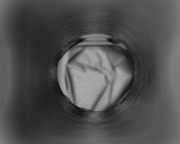 X0000095690096200801291226