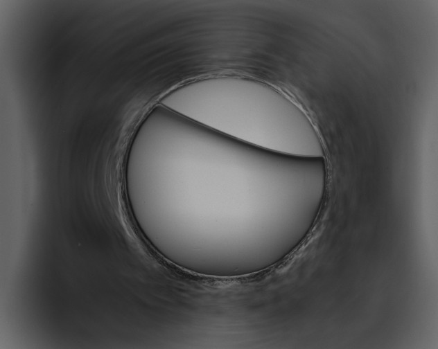 X0000095690097200801291225