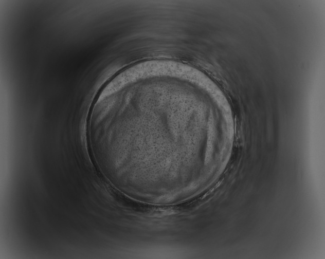 X0000095690099200801291225