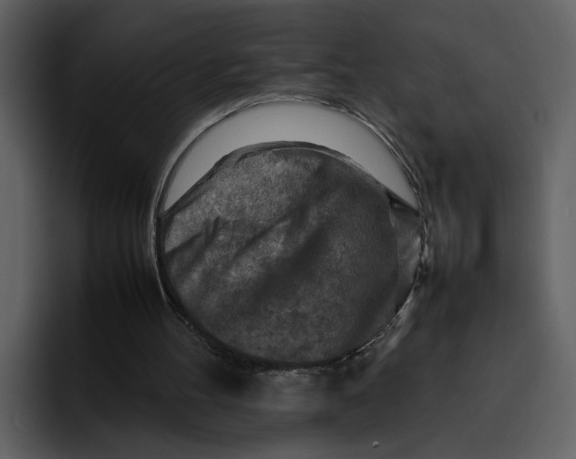 X0000095690100200801291225