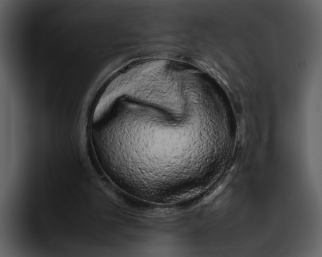 X0000095690101200801291225