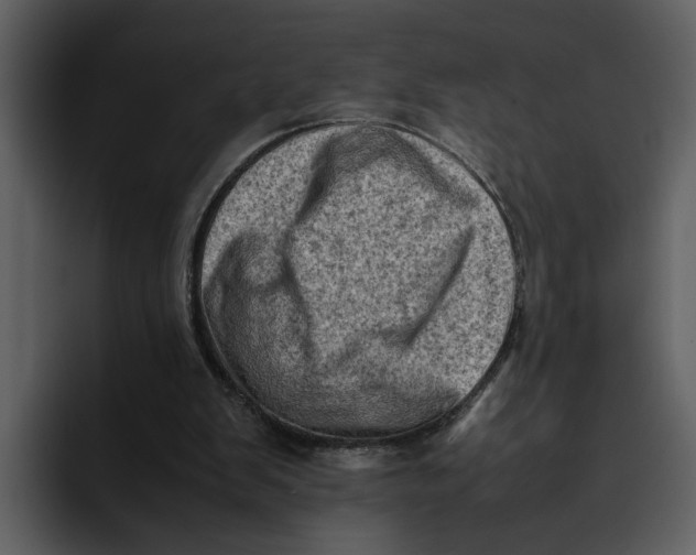 X0000095690103200801291225