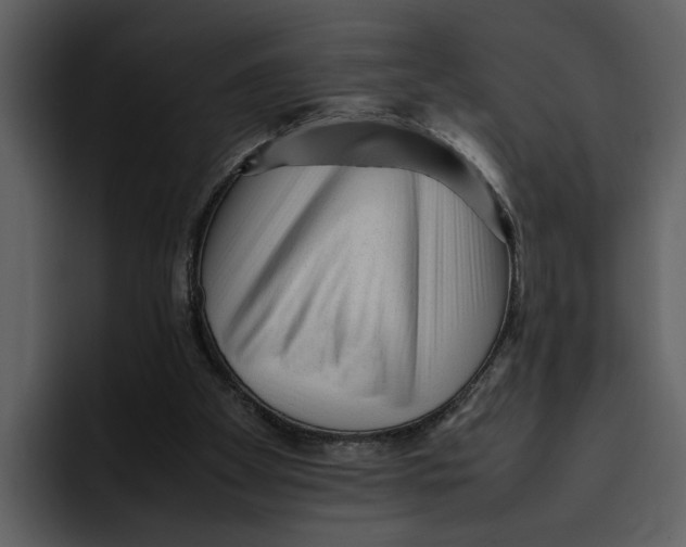 X0000095690105200801291225