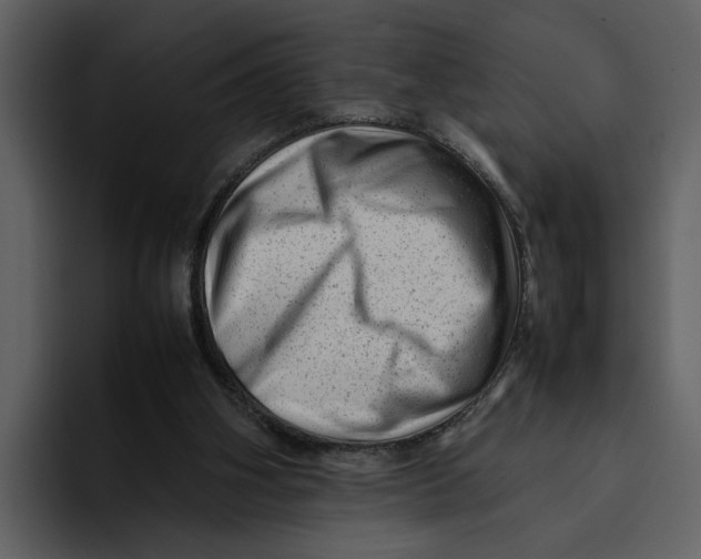 X0000095690106200801291225