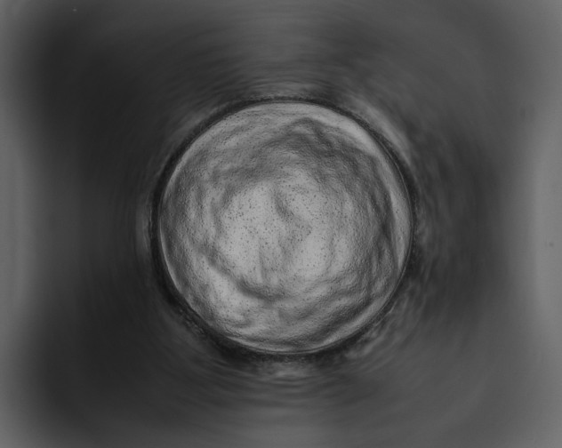 X0000095690107200801291225