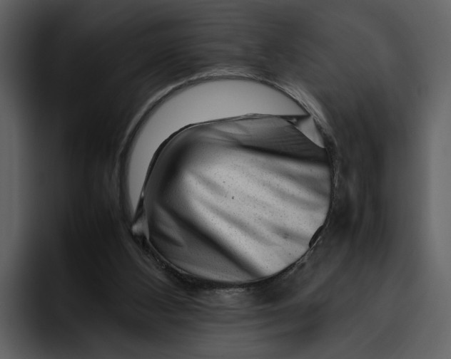 X0000095690108200801291225