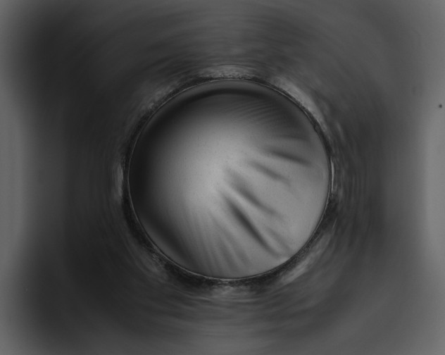 X0000095690109200801291225