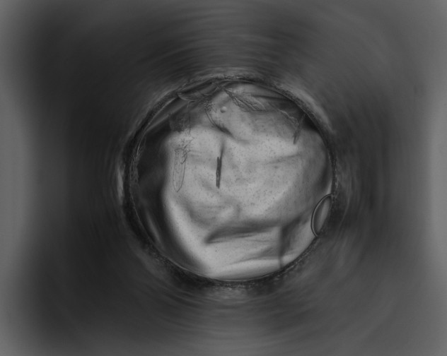 X0000095690110200801291225