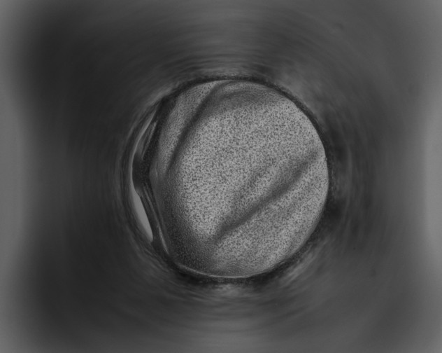 X0000095690111200801291225