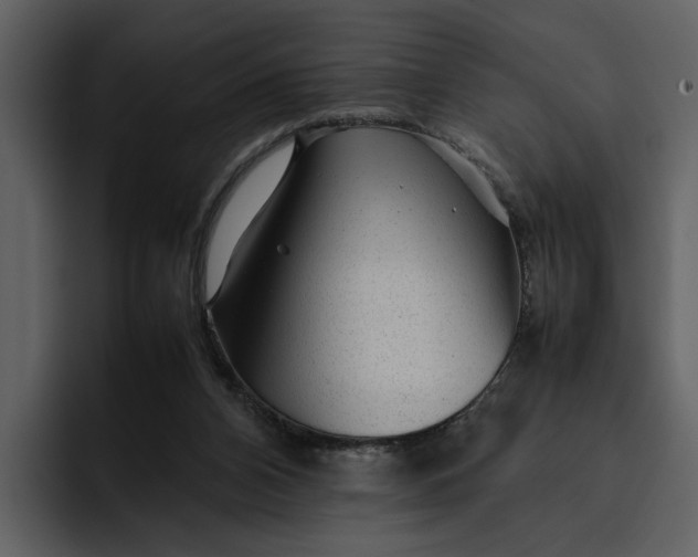 X0000095690112200801291225