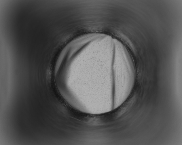 X0000095690113200801291225