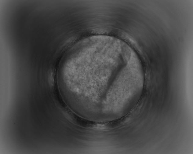 X0000095690114200801291225