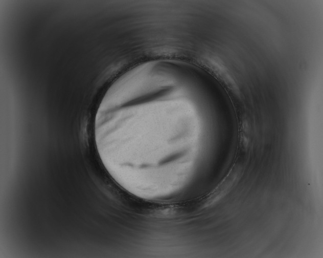 X0000095690116200801291225