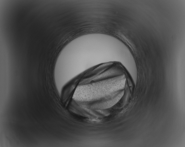 X0000095690117200801291225