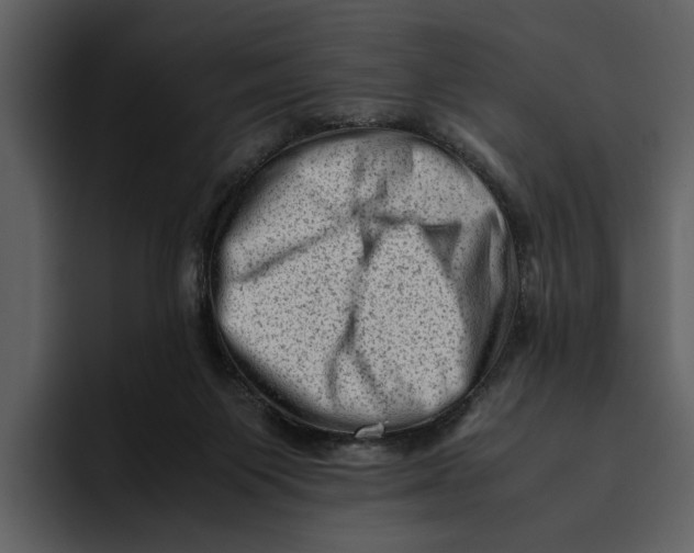 X0000095690119200801291225