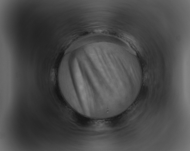 X0000095690121200801291225