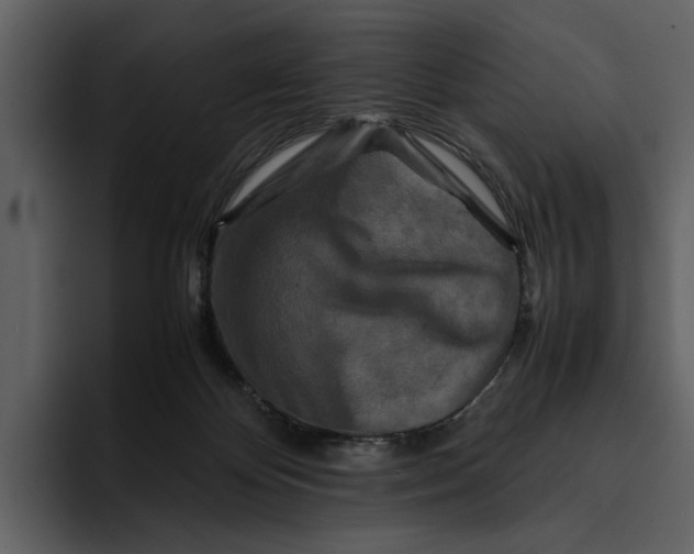 X0000095690124200801291225