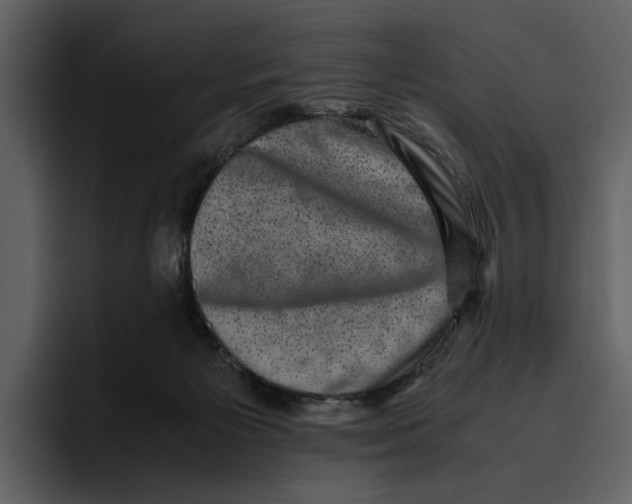 X0000095690125200801291225