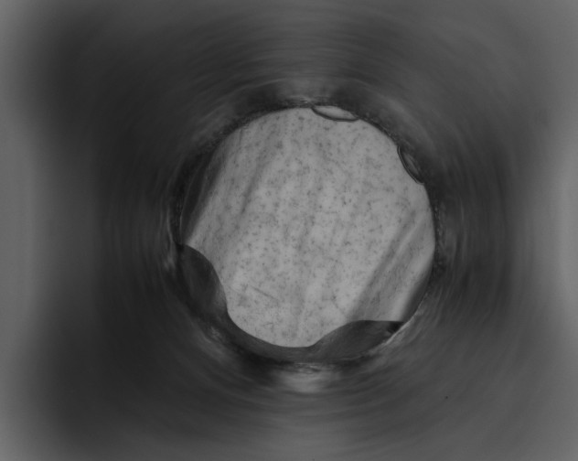 X0000095690128200801291225