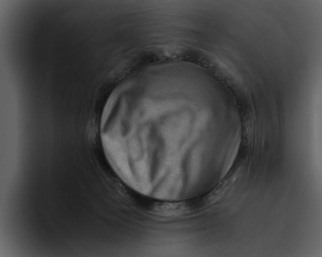 X0000095690129200801291225