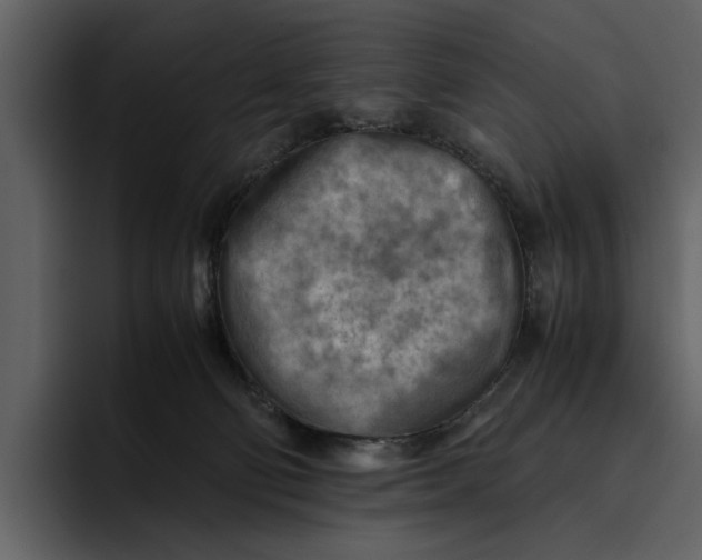 X0000095690130200801291225