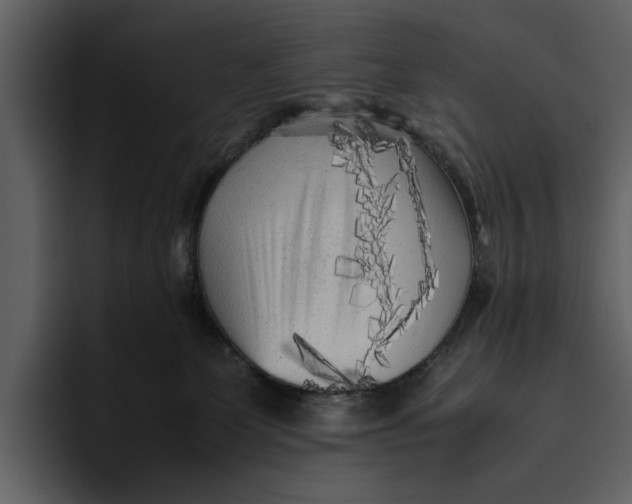 X0000095690131200801291225