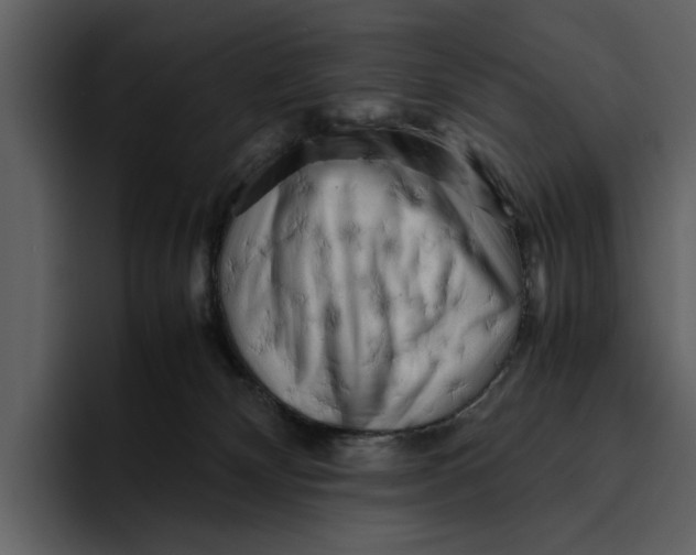 X0000095690132200801291225