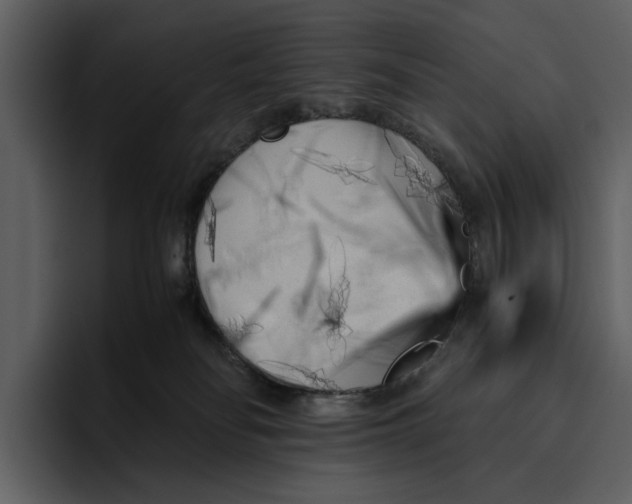 X0000095690134200801291225