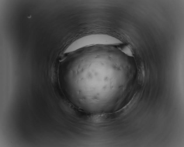 X0000095690136200801291225