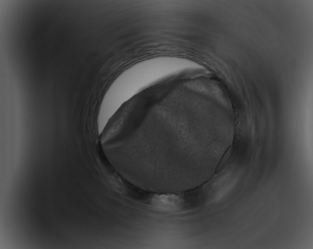 X0000095690137200801291224