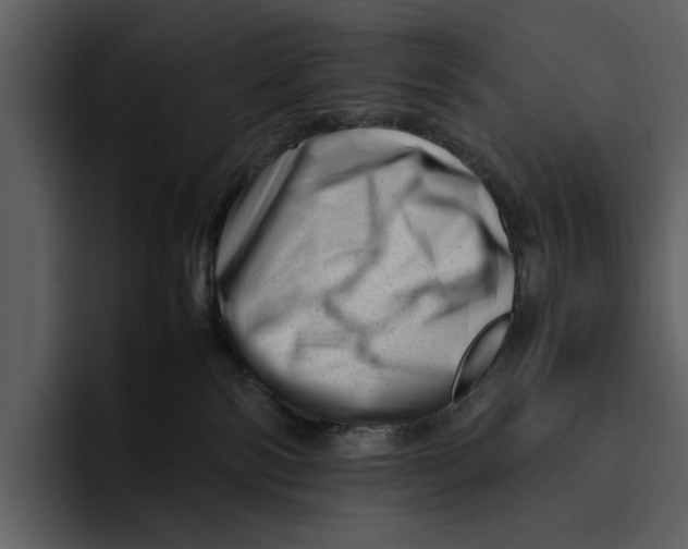 X0000095690138200801291224