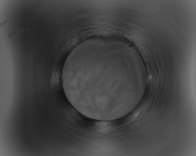 X0000095690139200801291224