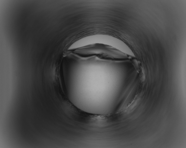 X0000095690140200801291224