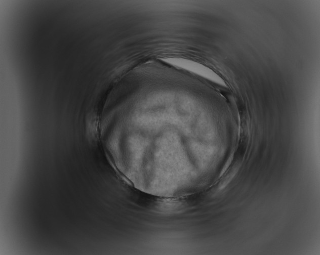 X0000095690141200801291224