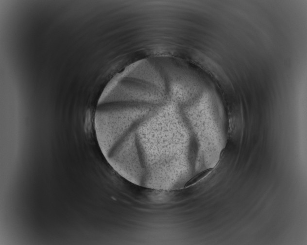 X0000095690142200801291224