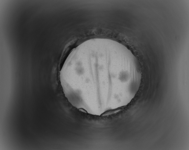 X0000095690144200801291224